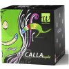 Wellion CALLA light blackberry - Glukometer