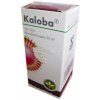 Kaloba gtt.por.1 x 20 ml
