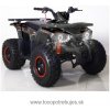 TaoTao Štvorkolka Tao Hunter 125ccm 8