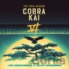 OST - Cobra Kai Final Season Red,Yellow,Gray Vinyl 3 LP
