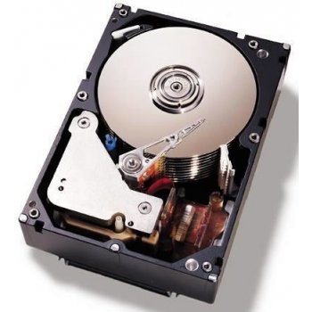 IBM 1TB, 3,5", SATA, 81Y9806