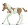 Schleich 13886 Žriebä Paint Horse
