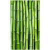 DIMEX | Vliesové fototapety na stenu Bambus MS-2-0165 | 150 x 250 cm | zelená + Vliesová fototapeta na stenu DIMEX Bambus MS20165 v rozmere 375 x 250 cm