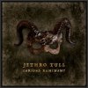Jethro Tull: Curious Ruminant / 180G Lp-Booklet