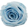 Tereza Light blue - svetlo modrá (Aranž 1x premium stabilizovaná 