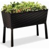 Keter Kvetináč Easy Grow whiskey 114 x 75,7 x 49,3 cm hnedý