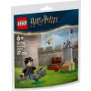 LEGO Harry Potter Fanfrpálová lekcia