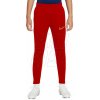 Nike DF Academy 21 Pant KPZ červené CW6124 687