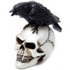 dekorácia ALCHEMY GOTHIC - Raven Skull - VM7 ALCHEMY GOTHIC