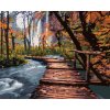 Zuty – Maľovanie Podľa Čísel – Drevená Promenáda V Parku, 80 × 100 cm, Plátno + Rám 8596530089957