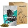 Geloren HA - jablečný 450g - 1 sáček pro koně