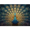 Epee Wooden Charming peacock 300 dielov