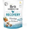 Brit snack Recovery herring & sea buckthorn 150 g