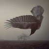 Katatonia - Fall Of Hearts / Vinyl / 2LP [2 LP]