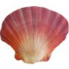 Gaby Vankúš Mušľa červená 45 cm
