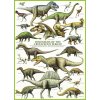 Puzzle Eurographics 1000 dielikov Puzzle 1000 Dinosaury z obdobia kriedy.