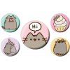 Sada odznakov s mačkou Pusheen a tortička