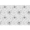 PVC obrus VIANOČNÁ HVIEZDA strieborný 140x160 cm
