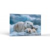 Zvieratá Ľadový odpočinok | Obrazy Vintessia Rozmery obdĺžnik: 60x90