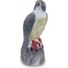 Bradas Plašič vtákov 17/17 5/41cm Sokol CTRL-BR103