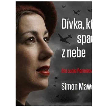 Dívka, která spadla z nebe - CDmp3 Čte Lucie Pernetová - Mawer Simon