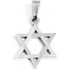 Prívesok Dávidova hviezda 2,2 cm z chirurgickej ocele S10998030