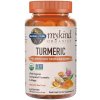 Garden of Life Organics Turmeric Inflammatory Response - 120 vegan gummies