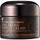 Mizon Snail 60% Snail Repair Perfect Cream pleťový krém s filtrátom sekrétu zo slimáka 50 ml