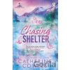 Chasing Shelter - Catherine Cowles