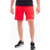 Puma pánske športové kraťasy 704942, veľkosť S