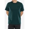 T shirt Patagonia P-6 Logo Responsibili-Tee - cascade green