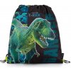 Karton P+P Premium Dinosaurus