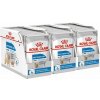 Royal Canin Light Weight Care Dog Loaf diétna kapsička s paštétou pre psy 36 x 85 g