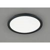 TRIO reality R62922432 Camillus Stropné svietidlo 400mm LED 1X24W/2000lm 3000K IP44 Matná čierna, biela, Switchdimmer