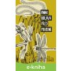 E-kniha Před povodní - Anna Bolavá