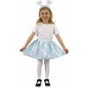Rappa Detský kostým TUTU sukne s čelenkou zimné kráľovstvo