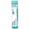 Arnica Montana gra.1 x 4 g 200CH