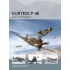 Curtiss P-40