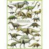 EUROGRAPHICS Puzzle Svet dinosaurov: Krieda 1000 dielikov