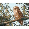 ZUTY Maľovanie podľa čísel - SOVA NA KONÁRI A LISTY (D. RUSTY RUST) Rámovanie: vypnuté plátno na rám, Rozmer: 80x100 cm