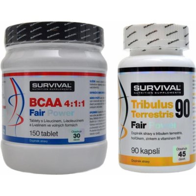 Survival BCAA 4:1:1 Fair power 150 tabliet