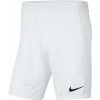 Nike M NK DRY PARK III SHORT NB K