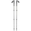 Trekkingové palice TRAIL Black Diamond pine smoke, grafit