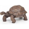 KORYTNAČKA Z GALAPÁG - Galapagos tortoise - PAPO 50161
