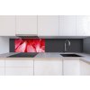 DIMEX | Dibond doska za kuchynskú linku | DBW-08040-056 Červené okvetné lístky| 80 x 40 cm + Dibond obkladová doska Dimex do kuchyne Červené okvetné lístkyv rozmere 80 x 40 cm