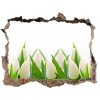Samolepící nálepka fototapeta Biele tulipány 95x64 cm
