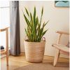 Eglo Eglo 426513 - Dekoračný kôš NARAHA 41x36 cm ratan EG426513 + záruka 3 roky zadarmo + záruka 3 roky zadarmo