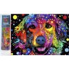 NORIMPEX Diamantové maľovanie Abstraktný pes 30 x 40 cm