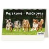 Pejskové 2027 - stolní kalendář - autor neuvedený