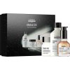 L'Oréal Professionnel Metal Detox Trio darčeková sada na farbené a poškodené vlasy